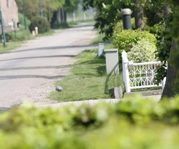 Couette-café Logerenbijonsz