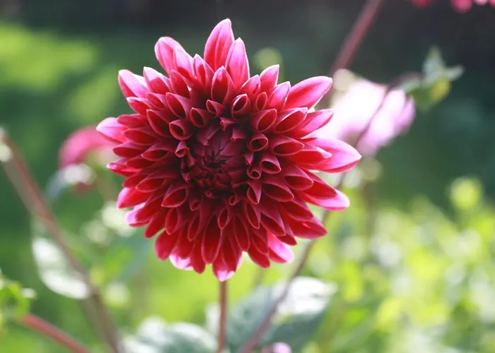 Oda ve Kahvaltı Logerenbijonsz 3*